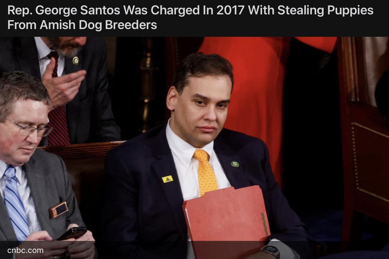 Rep George Santos Was Charged In 2017 With Stealing Puppies From Amish Dog Breeders i J