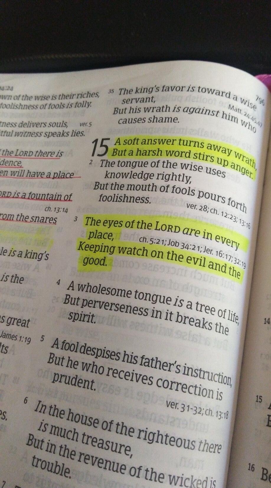The crown of the wise is their riches, but the foolishness of fools is folly. A faithful witness speaks lies. A soft answer turns away wrath, But a harsh word stirs up anger. The king's favor is toward a wise servant, But his wrath is against him who causes shame. The tongue of the wise uses knowledge rightly, But the mouth of fools pours forth foo