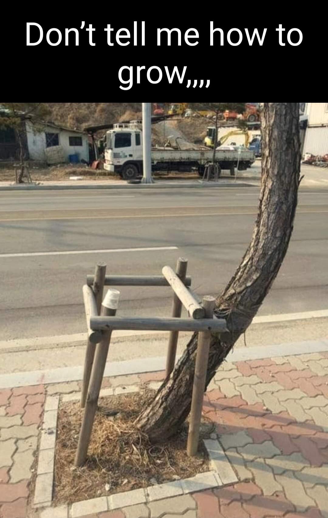 Don't tell me how to grow,,,