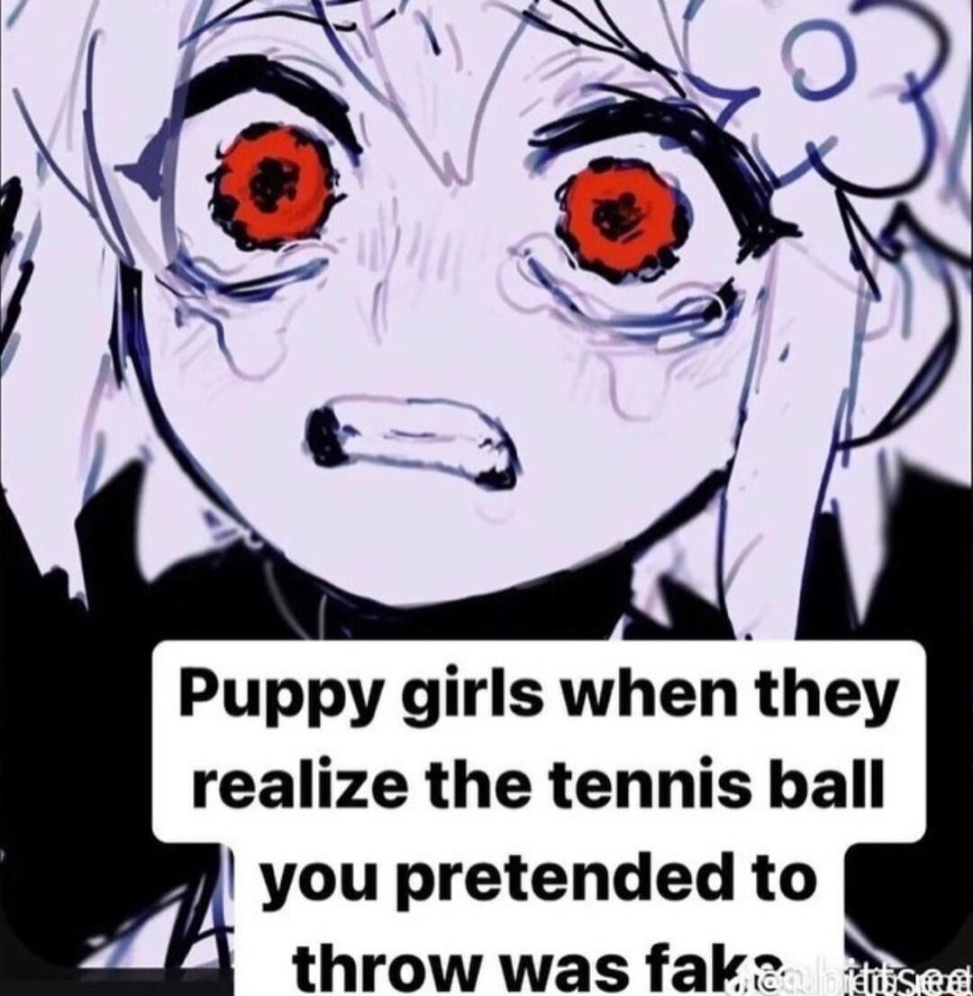 Puppy girls when they realize the tennis ball you pretended to throw was fak