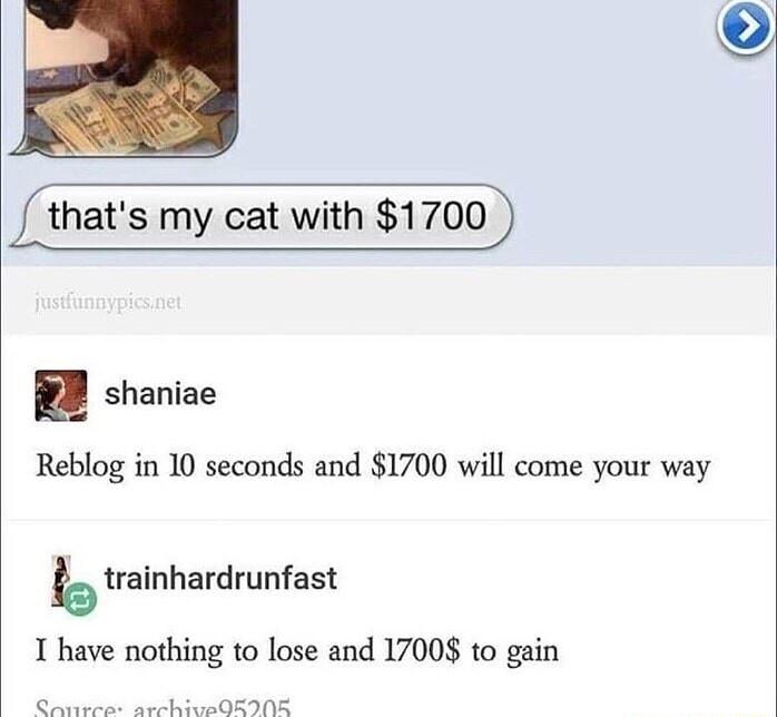 my cat with 1700 shaniae Reblog in 10 seconds and 1700 will come your way b trainhardrunfast T have nothing to lose and 17008 to gain Qn L ORINE