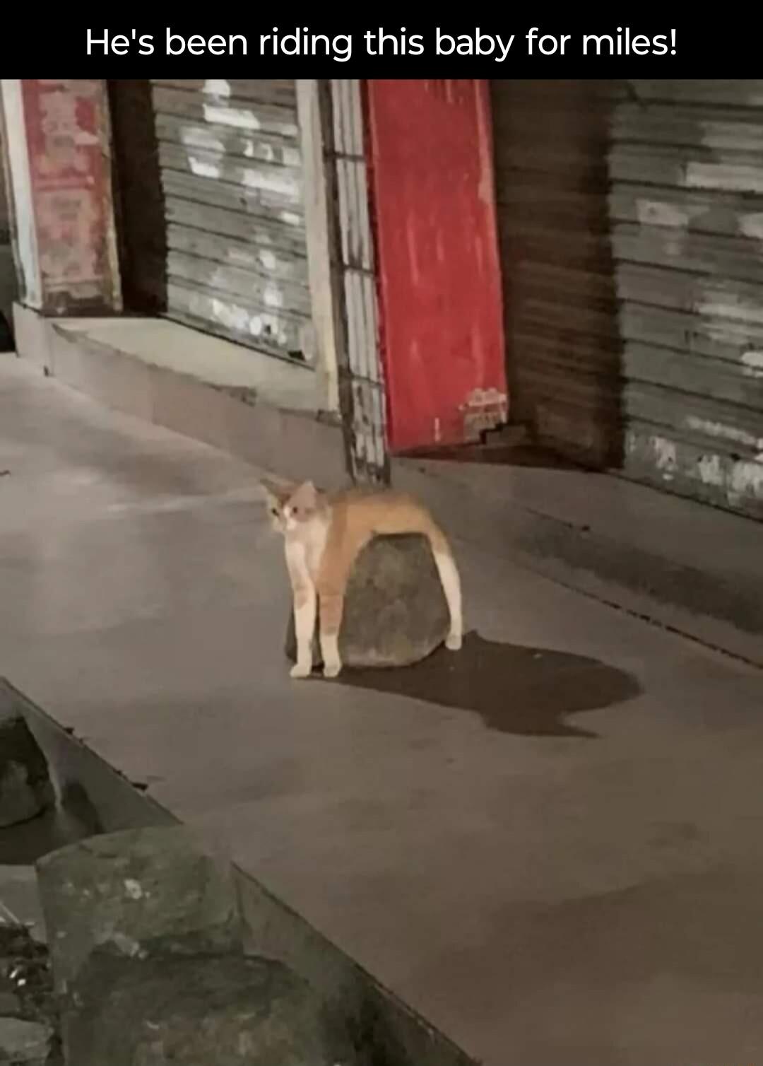 Hes been riding this baby for miles