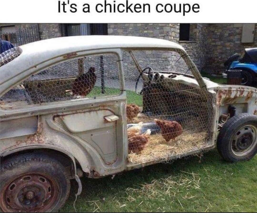 Its a chicken cou