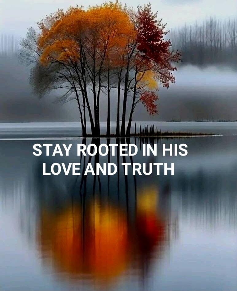 STAY ROOTED IN HIS LOVE AND TRUTH