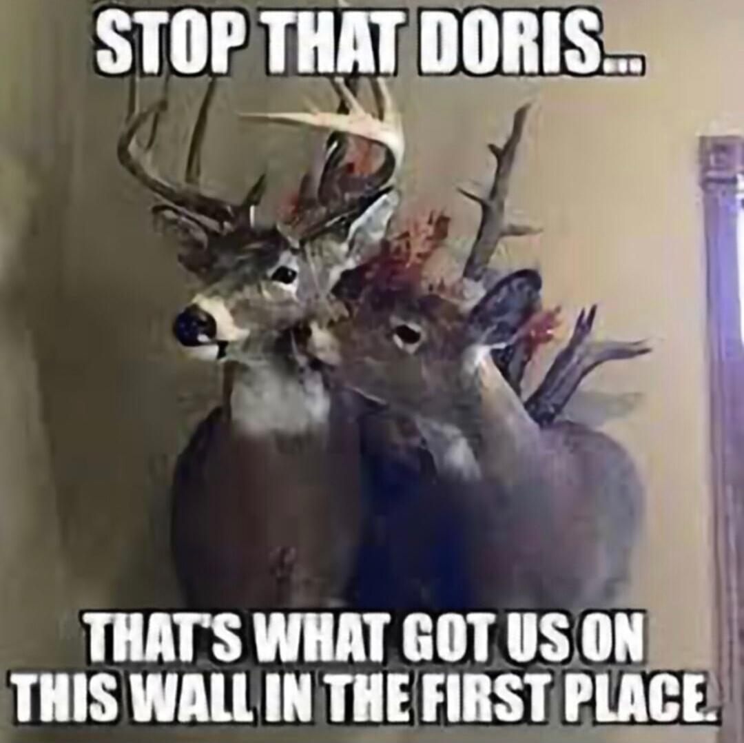 STOP THAT DORIS... THAT'S WHAT GOT US ON THIS WALL IN THE FIRST PLACE.