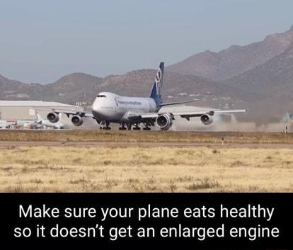 Make sure your plane eats healthy so it doesnt get an enlarged engine