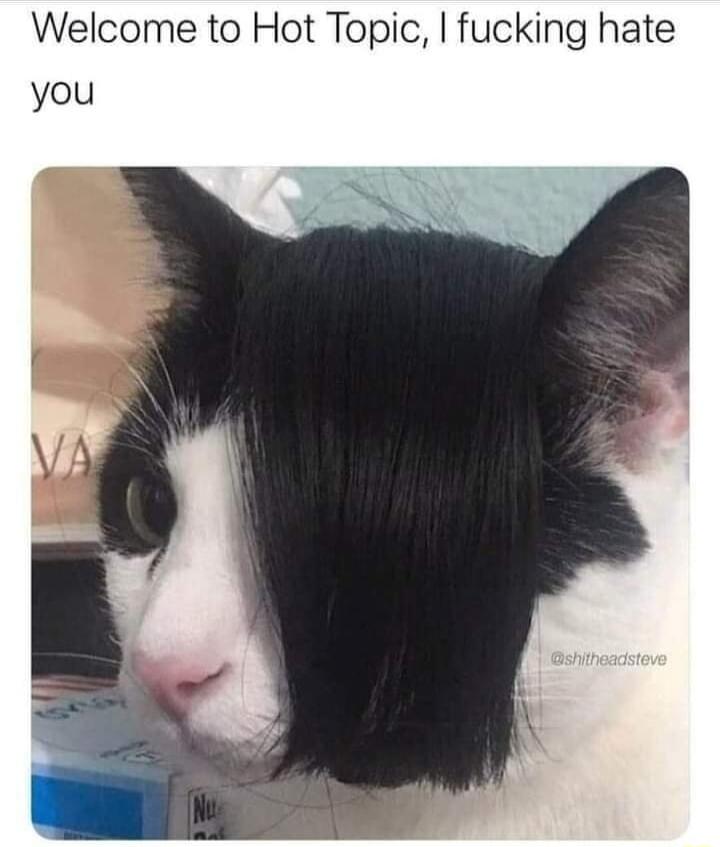 Welcome to Hot Topic fucking hate you