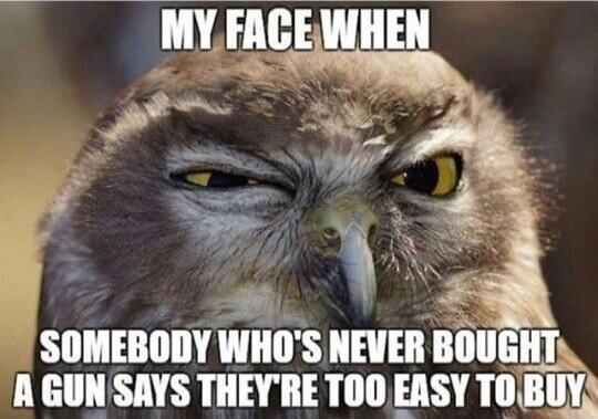 MY FACE WHEN SOMEBODY WHO'S NEVER BOUGHT A GUN SAYS THEY'RE TOO EASY TO BUY