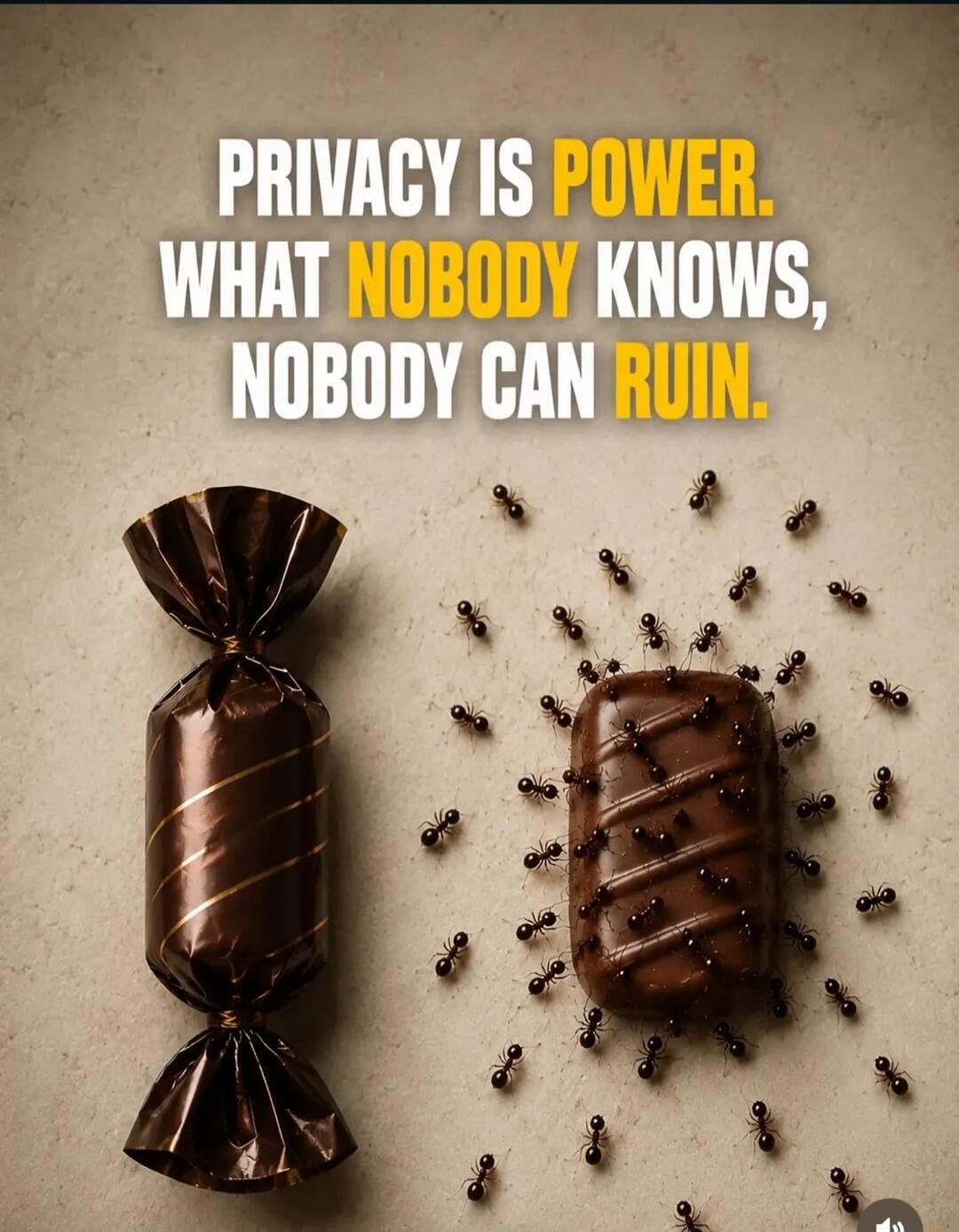 PRIVACY IS POWER. WHAT NOBODY KNOWS, NOBODY CAN RUIN.