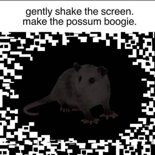 gently shake the screen make the possum boogie