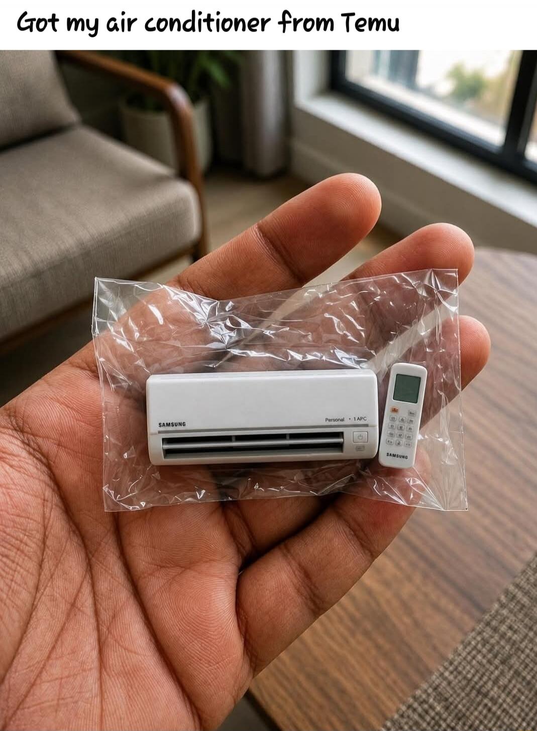 Got my air conditioner from Temu. SAMSUNG. Personal. 1 APC.
