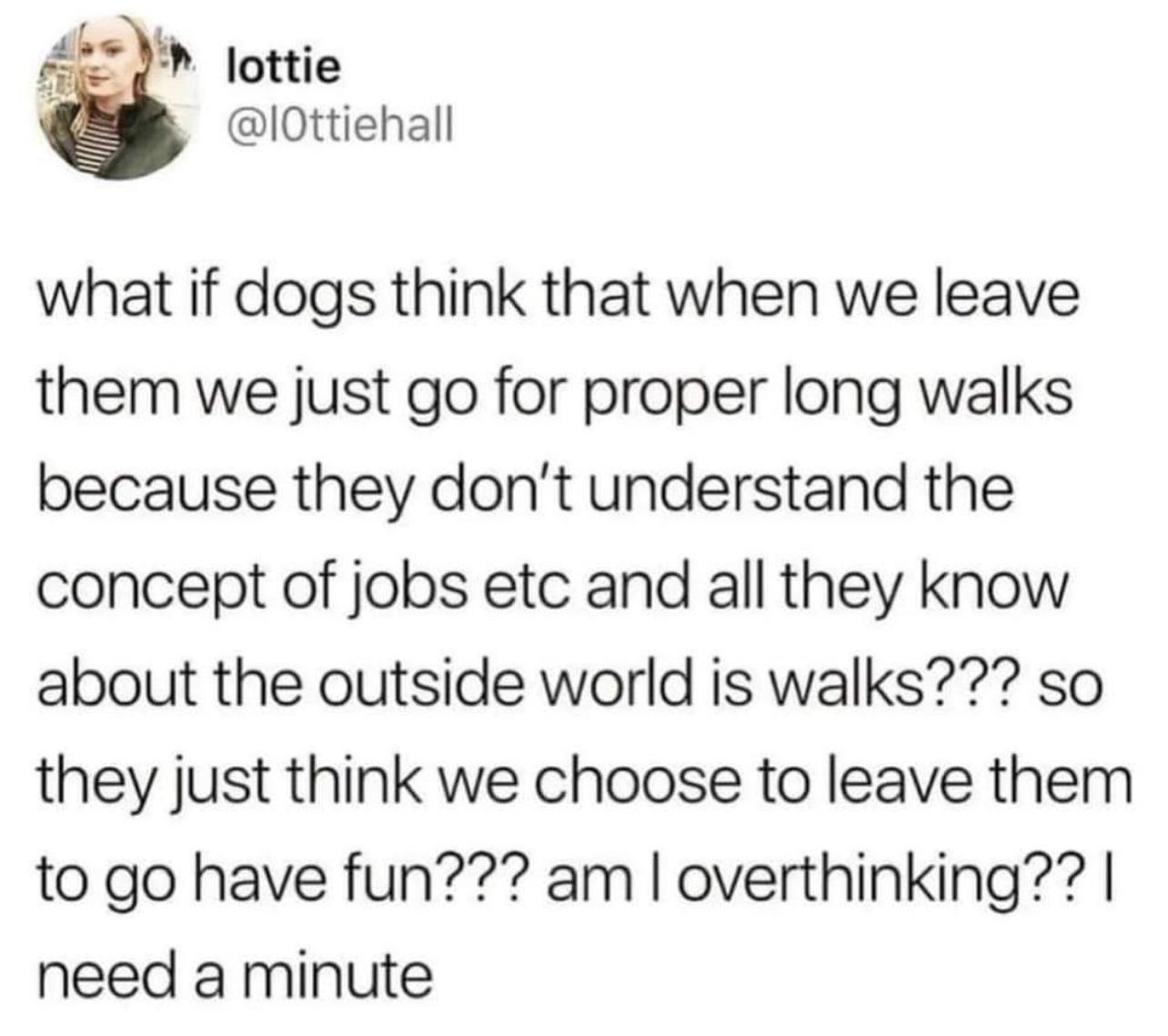 lottie IOttiehall what if dogs think that when we leave them we just go for proper long walks because they dont understand the concept of jobs etc and all they know about the outside world is walks so they just think we choose to leave them to go have fun am overthinking need a minute