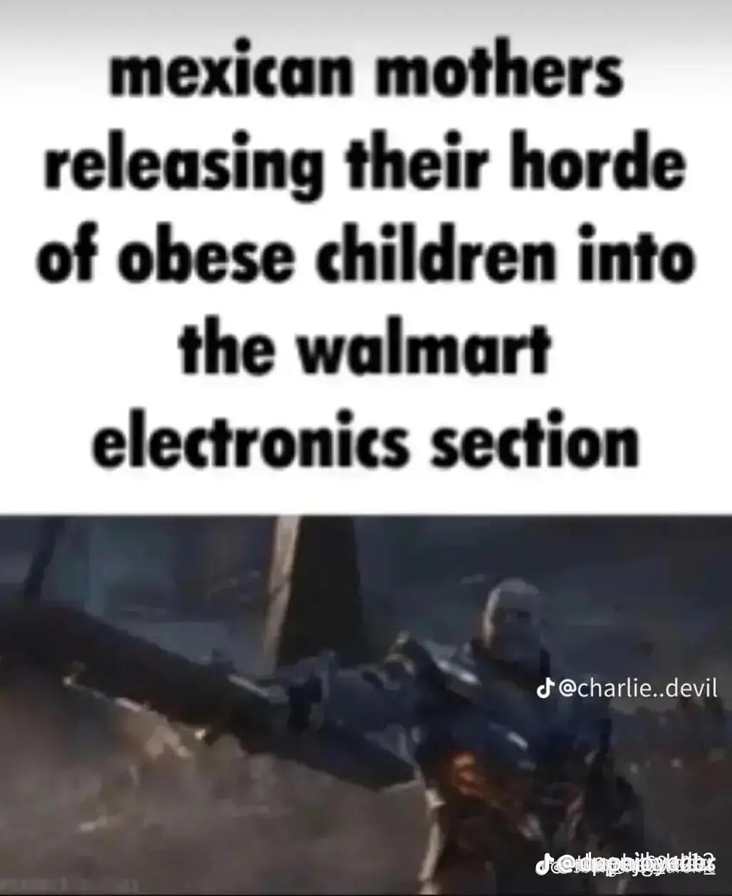 mexican mothers releasing their horde of obese children into the walmart electronics section decharliedevil