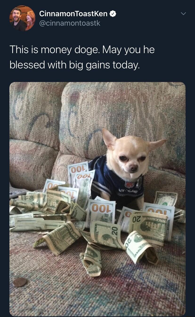 e ELUEEICESUCHE 3 4 GELLENTIGERS This is money doge May you he olSSETe RV I Y ol Ne I g R eTo VA