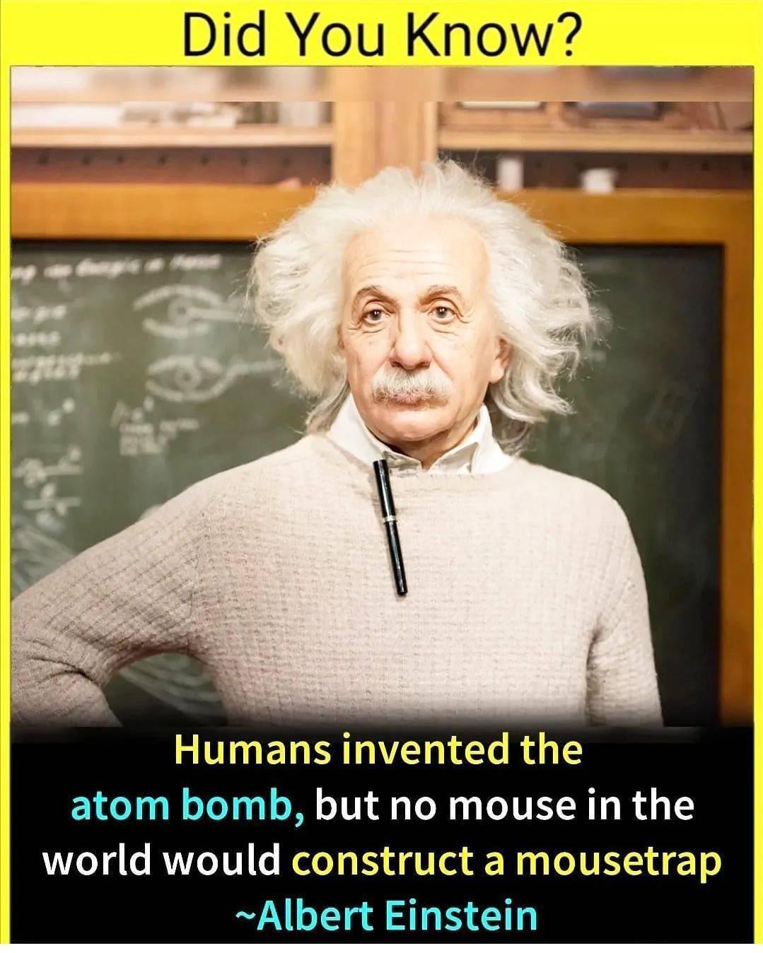 2 T EL VT T R atom bomb but no mouse in the world would construct a mousetrap Albert Einstein