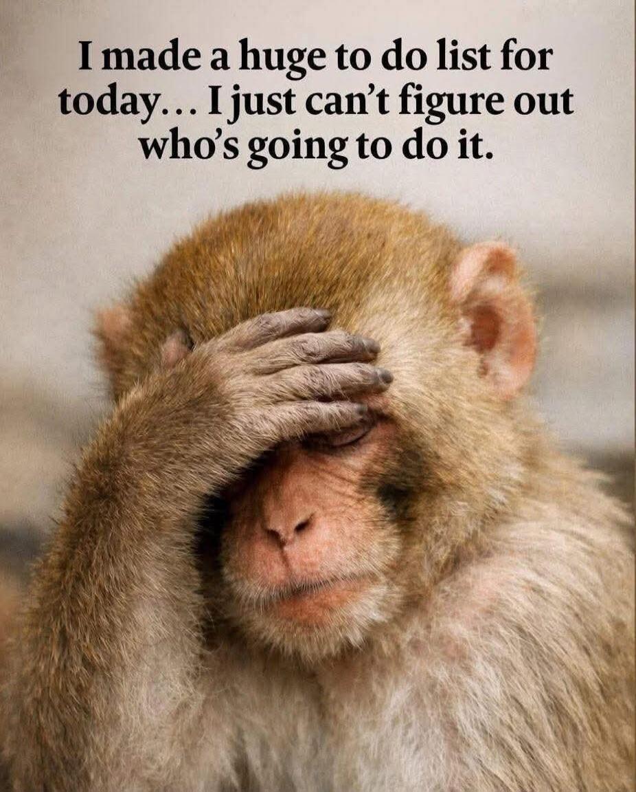 I made a huge to do list for today... I just can't figure out who's going to do it.