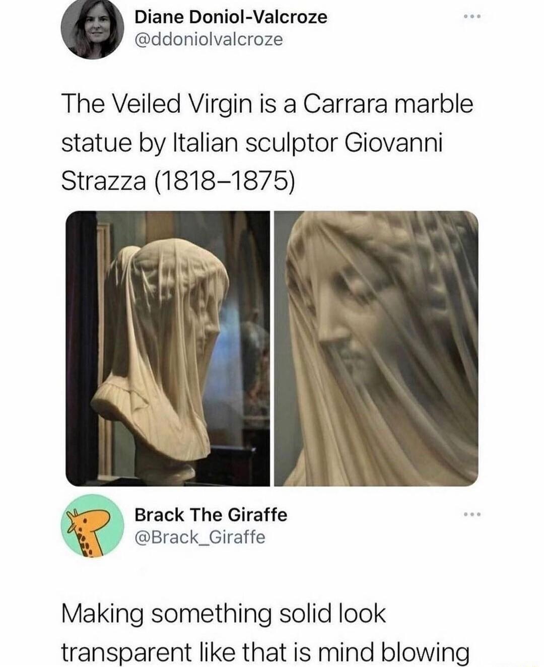 Diane Doniol Valcroze ddoniolvalcroze The Veiled Virgin is a Carrara marble statue by Italian sculptor Giovanni Strazza 1818 1875 Brack The Giraffe Brack_Giraffe Making something solid look transparent like that is mind blowing