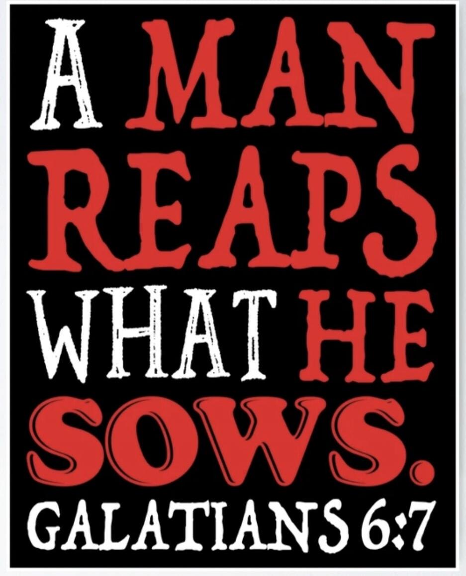 A MAN REAPS WHAT HE SOWS. GALATIANS 6:7