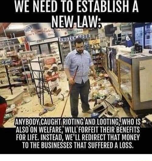WE NEED T0 ESTABLISH A uNVBUDhCAHGHIRITIID lUTlNGiWHU 1S ALSOON WELFARE WILLFORFEIT THEIR BENEFITS FOR LIFE INSTEAD WELL REDIRECT THAT MONEY T0 THE BUSINESSES THAT SUFFERED A LOSS