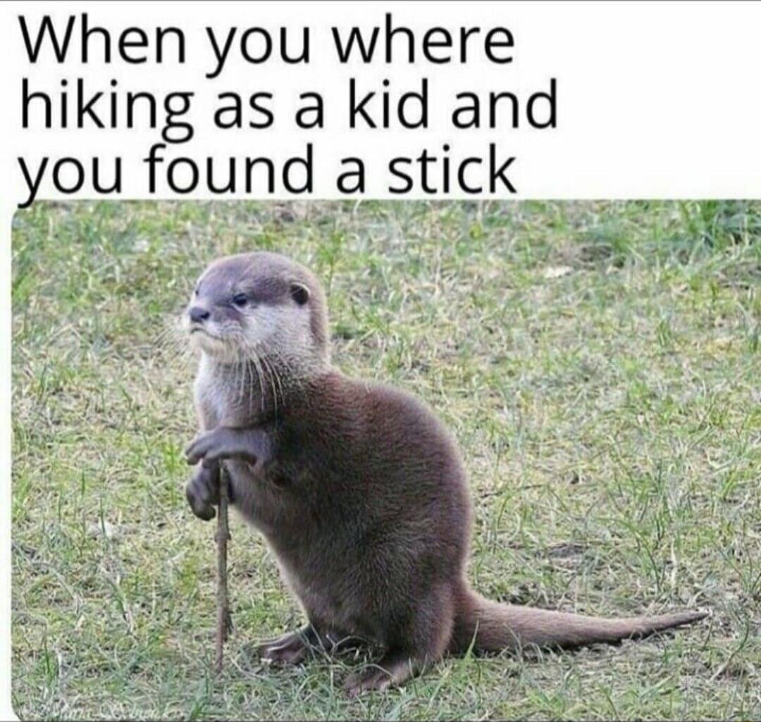 When you where hiking as a kid and you found a stick