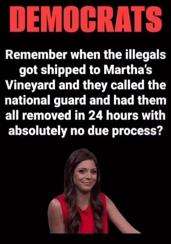 DEMOCRATS Remember when the illegals got shipped to Martha's Vineyard and they called the national guard and had them all removed in 24 hours with absolutely no due process?