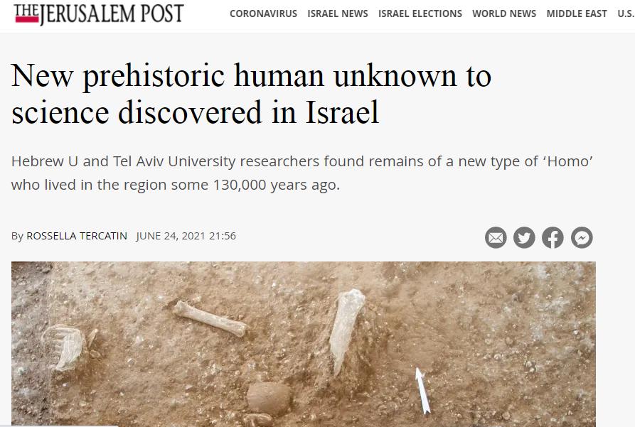 TEERUSALEM POST CORONAVIRUS ISRAEL NEWS ISRAEL ELECTIONS WORLD NEWS MIDDLE EAST USS New prehistoric human unknown to science discovered in Israel Hebrew U and Tel Aviv University researchers found remains of a new type of Homo who lived in the region some 130000 years ago By ROSSELLA TERCATIN JUNE 24 2021 2156 o 0 O 5z