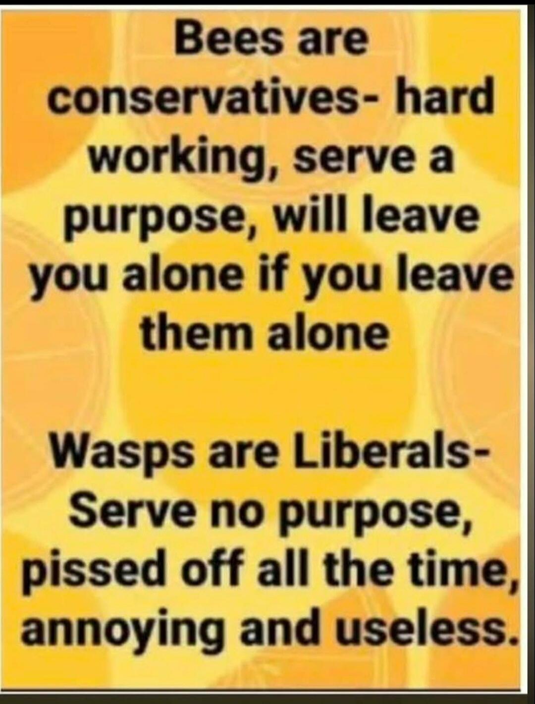 Bees are conservatives - hard working, serve a purpose, will leave you alone if you leave them alone. Wasps are Liberals - Serve no purpose, pissed off all the time, annoying and useless.
