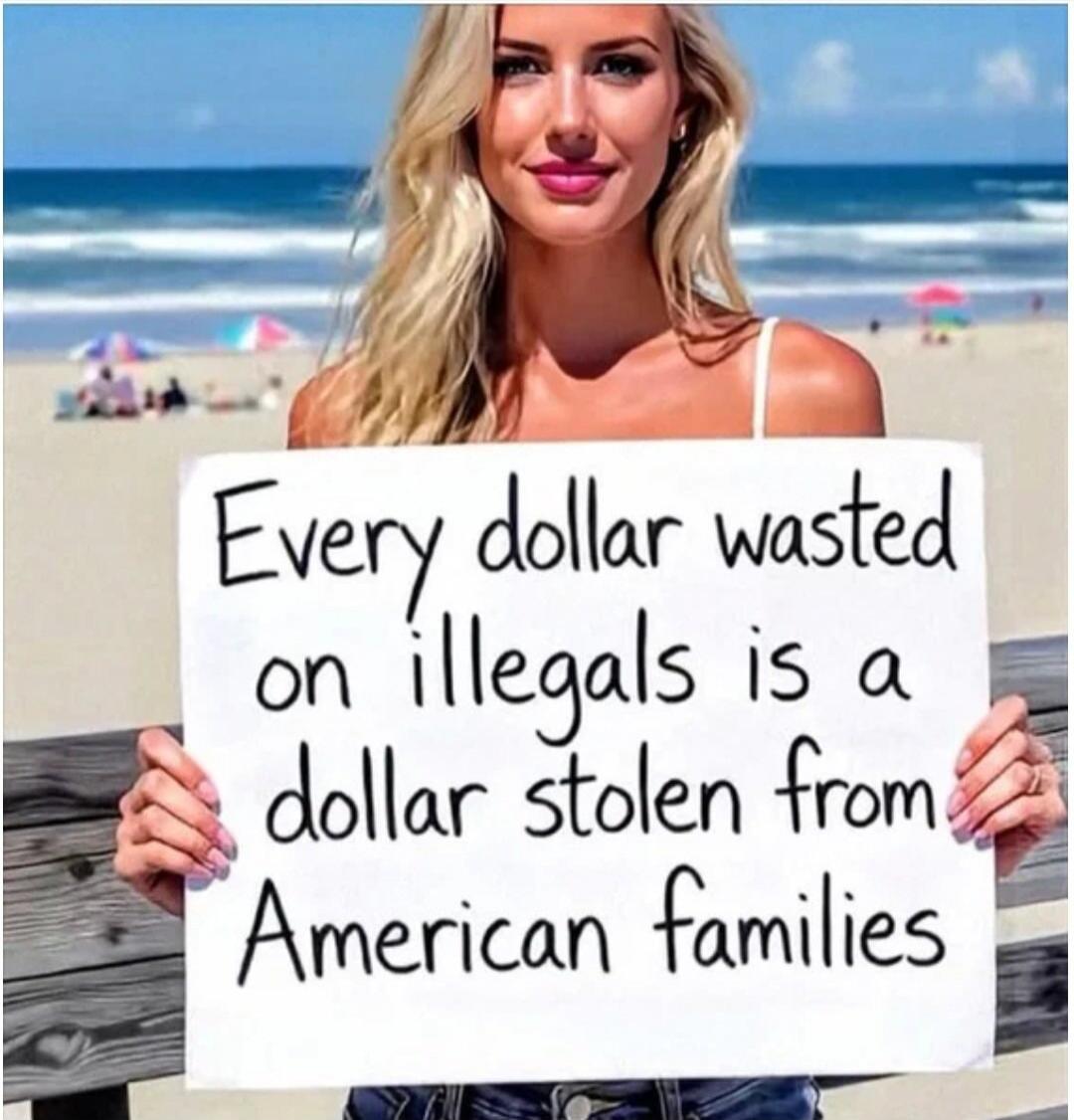 Every dollar wasted on illegals is a dollar stolen from American families
