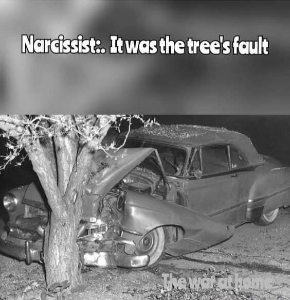 Narcissist: It was the tree's fault