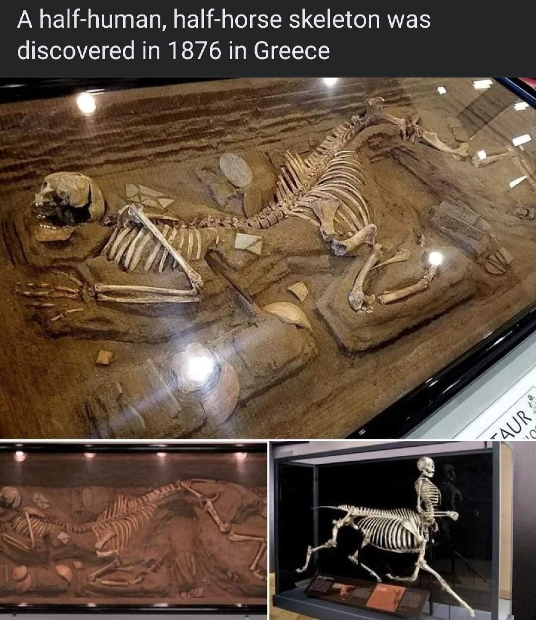 A half human half horse skeleton was discovered in 1876 in Greece