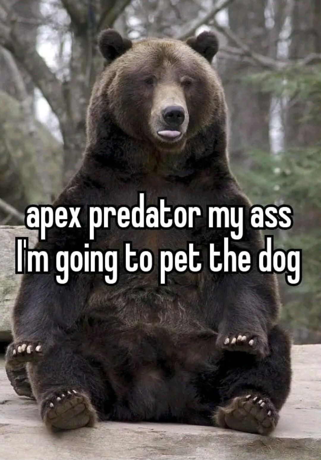 apex predator my as Fl going to pet the Hg ITL P foee R 54