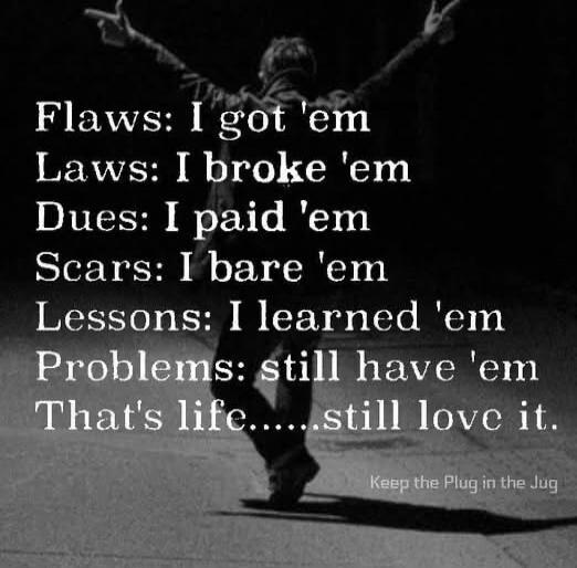 Flaws: I got 'em
Laws: I broke 'em
Dues: I paid 'em
Scars: I bare 'em
Lessons: I learned 'em
Problems: still have 'em
That's life.....still love it.