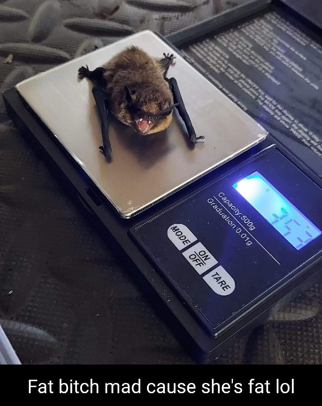 Fat bitch mad cause shes fat lol