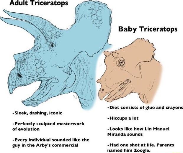 Aduit Triceratops Sleek dashing iconic Perfectly sculpted masterwork of evolution Every individual sounded like the guy in the Arbys commercial Baby Triceratops Diet consists of glue and crayons Hiccups a lot Looks like how Lin Manuel Miranda sounds Had one shot at Iife Parents Sad N Beotie