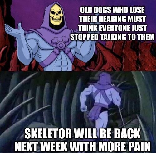 umnosswnomsz THEIR HEAR _THINK ElIIYIIIIE msr a STllIIEIl TAlIIHE TO THEM VeaY 95 f SKELETOR WILLBE Bl NEXT WEEK WITH MORE PAIN