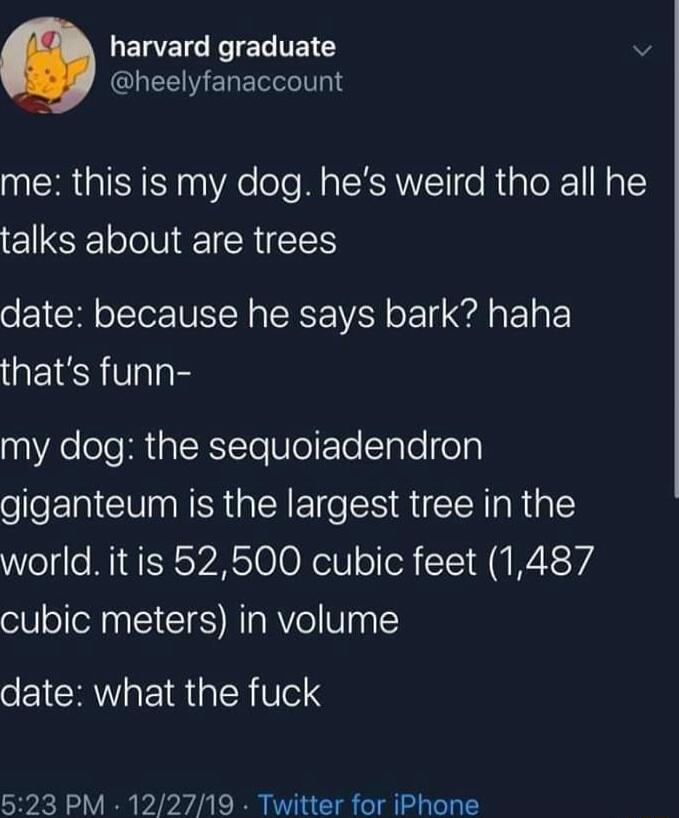 LEWEIG R ENCY v GHEEMERERIN me this is my dog hes weird tho all he talks about are trees date because he says bark haha thats funn my dog the sequoiadendron o EI VN N TG SO RN aRial world it is 52500 cubic feet 1487 cubic meters in volume oEICHWaEIRERUeIS 523 PM 122719 Twitter for iPhone