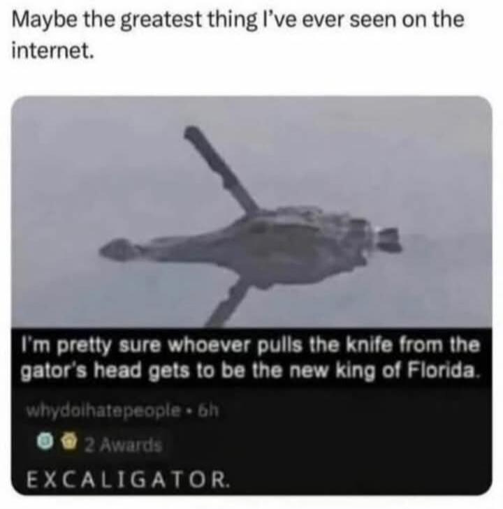 Maybe the greatest thing I’ve ever seen on the internet. I’m pretty sure whoever pulls the knife from the gator's head gets to be the new king of Florida. EXCALIGATOR.