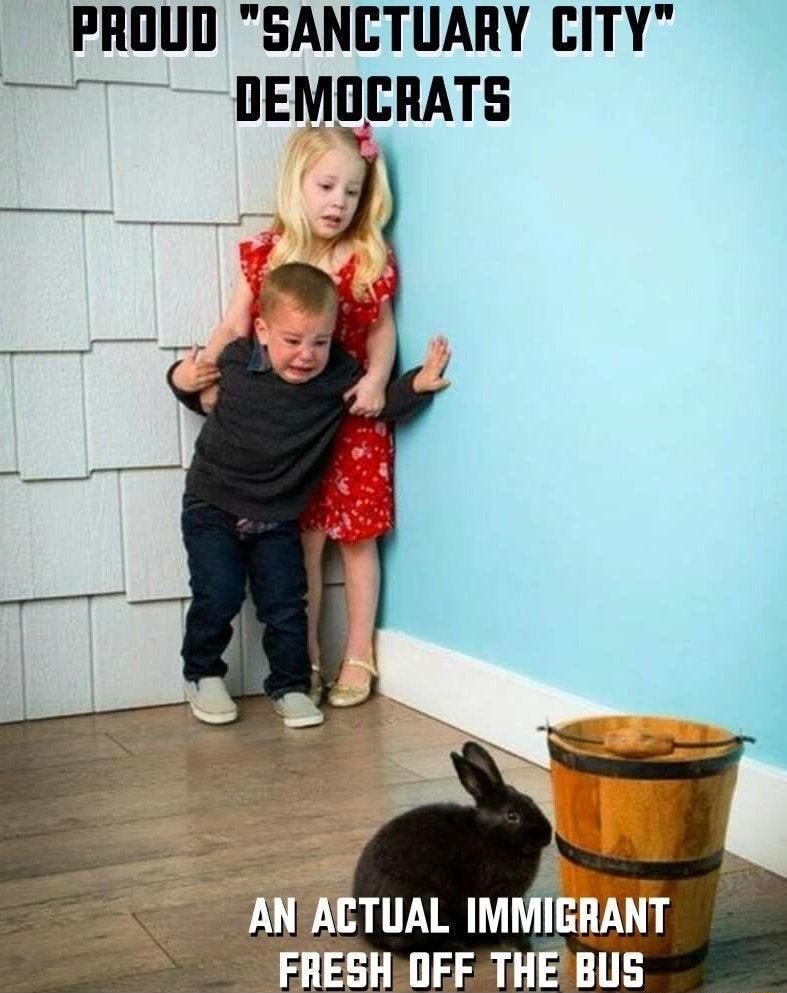 PROUD SANCTUARY CITY 7 DEMOCRATS