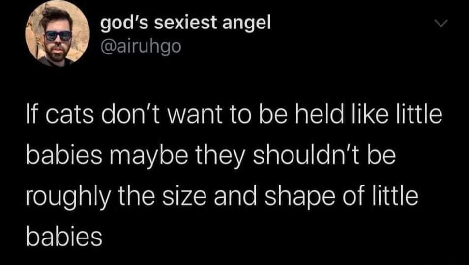 gods sexiest angel 9 airuhgo If cats dont want to be held like little babies maybe they shouldnt be roughly the size and shape of little babies