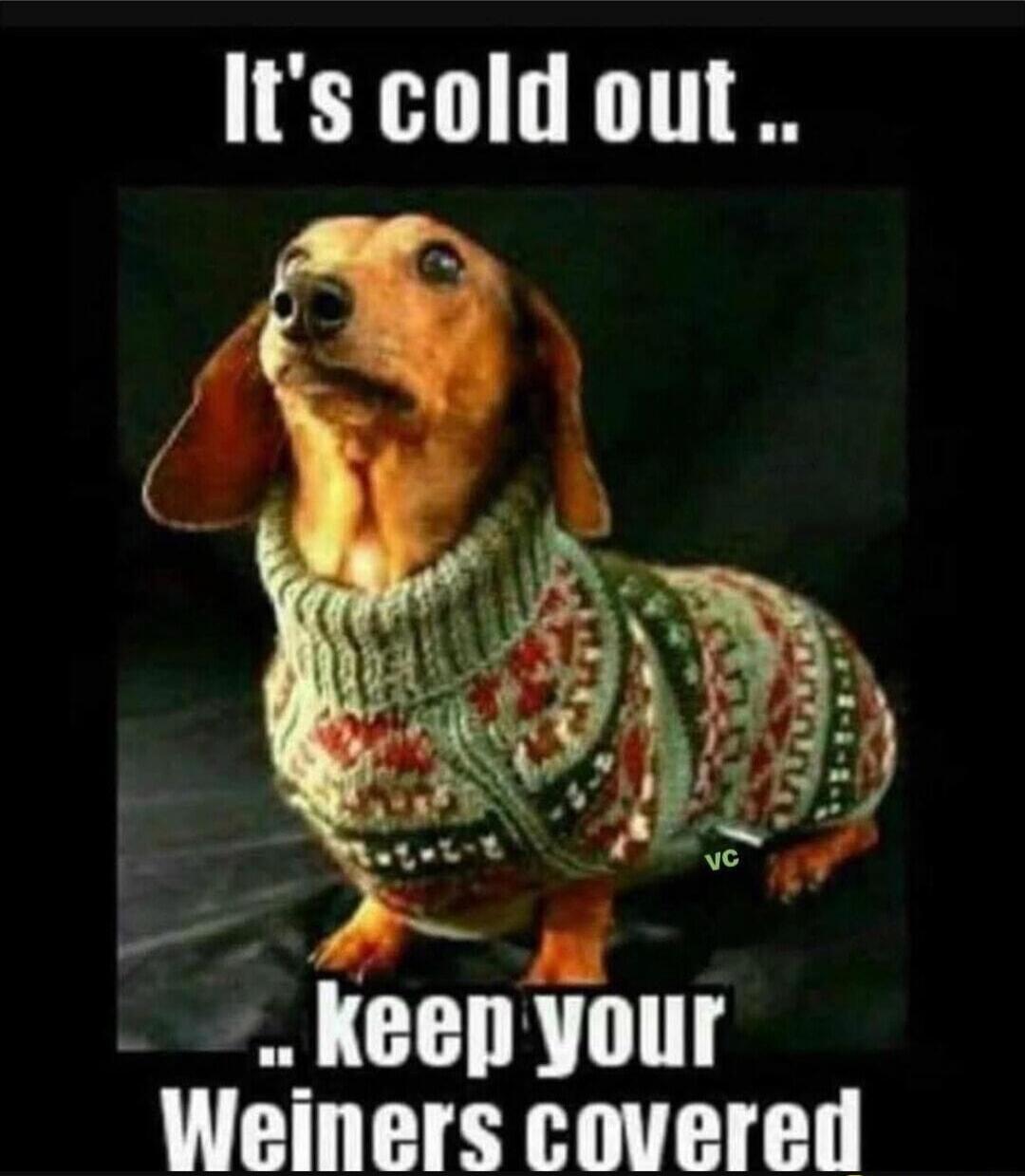 It's cold out .. keep your Weiner's covered