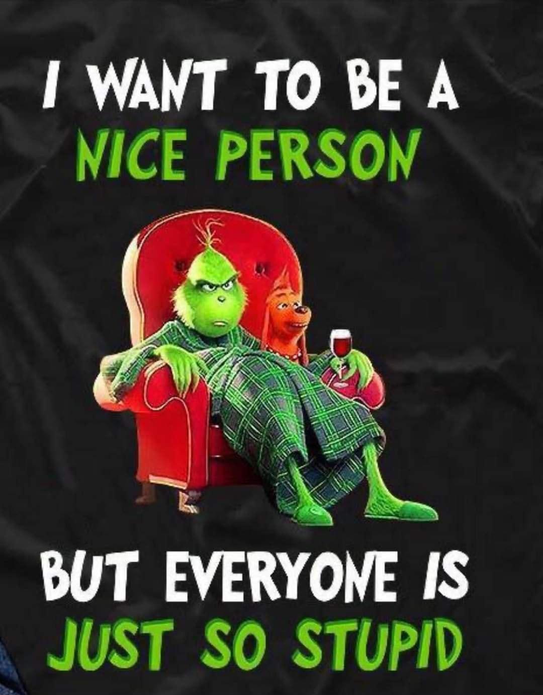 WANT TO BE A NICE PERSON BUT EVERYOME IS JUST SO STUPID