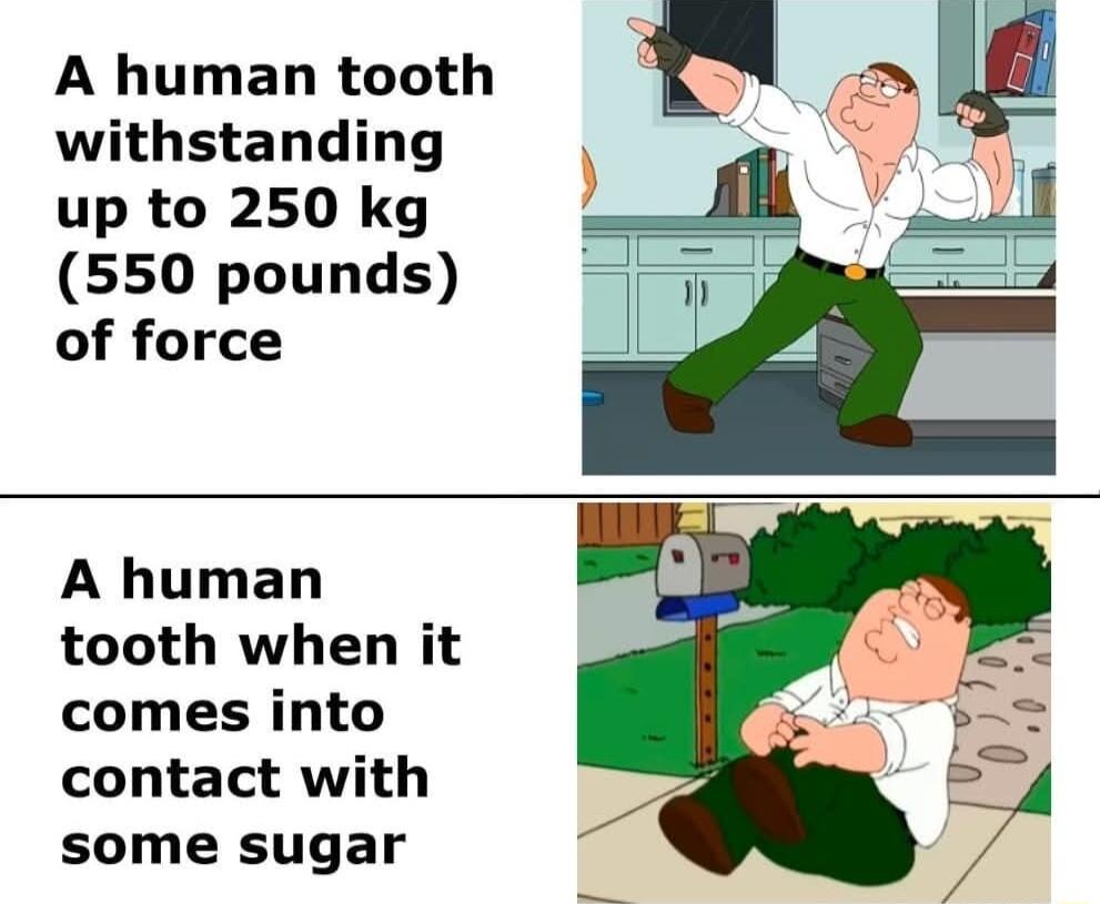 A human tooth N withstanding up to 250 kg 550 pounds of force 1 A human tooth when it comes into contact with some sugar