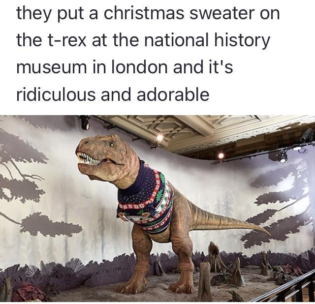 cheska programmable 5 days ago they put a christmas sweater on the t rex at the national history museum in london and its ridiculous and adorable