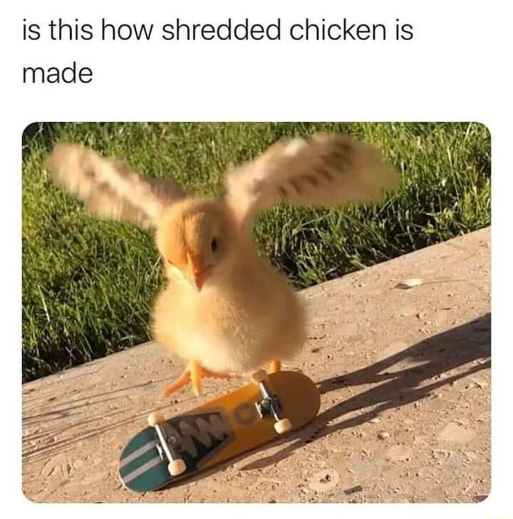 is this how shredded chicken is made