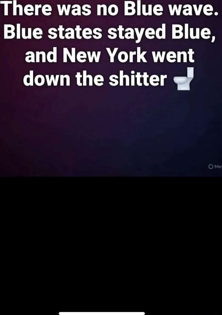 There was no Blue wave. Blue states stayed Blue, and New York went down the shitter 🚽