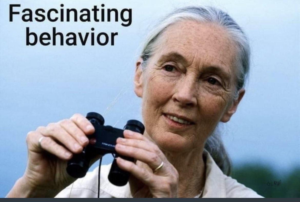 Fascinating behavior e