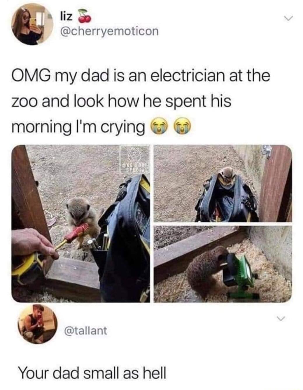 T iz 3 Bl cherryemoticon OMG my dad is an electrician at the zoo and look how he spent his morning Im crying tallant Your dad small as hell