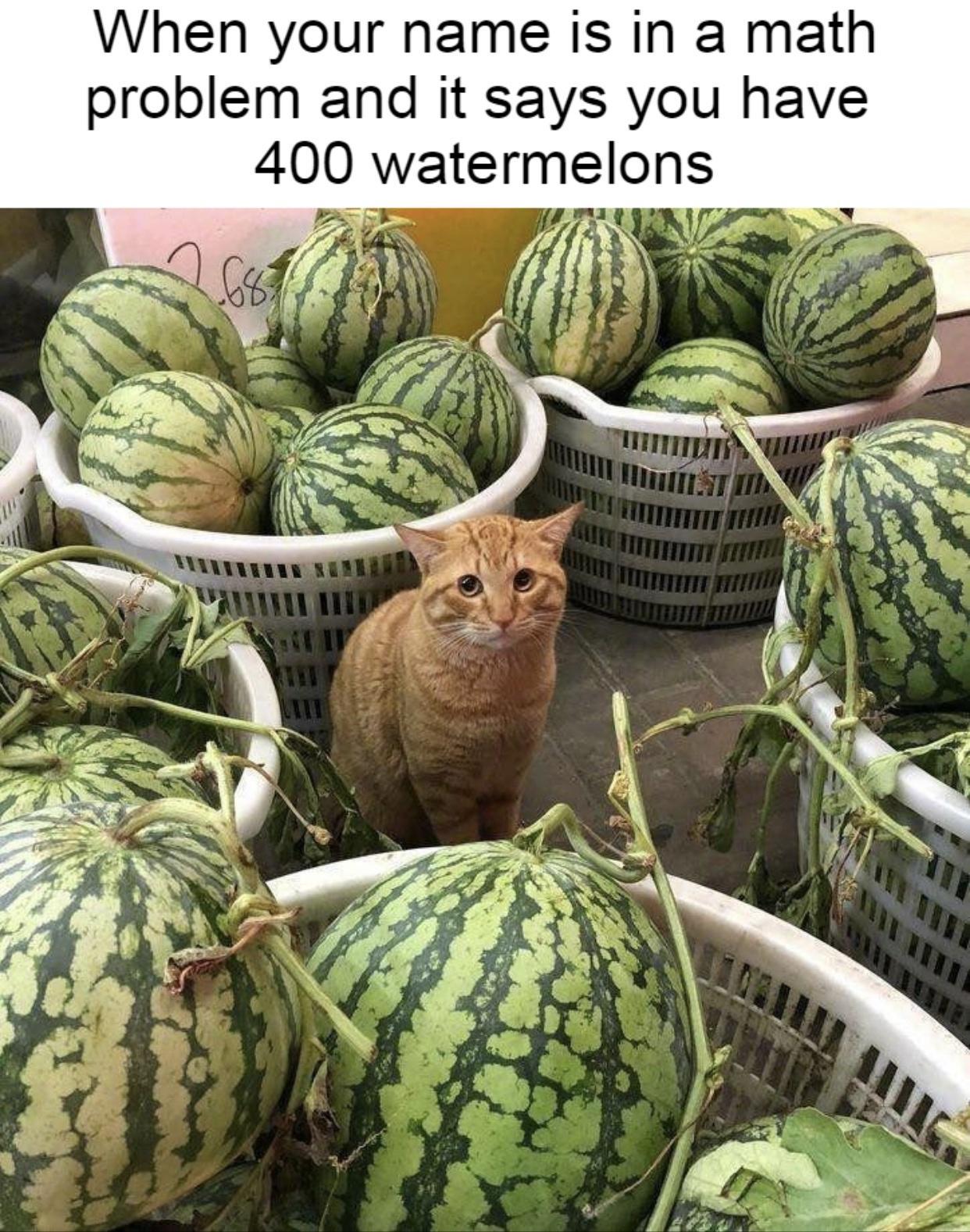 When your name is in a math problem and it says you have 400 watermelons