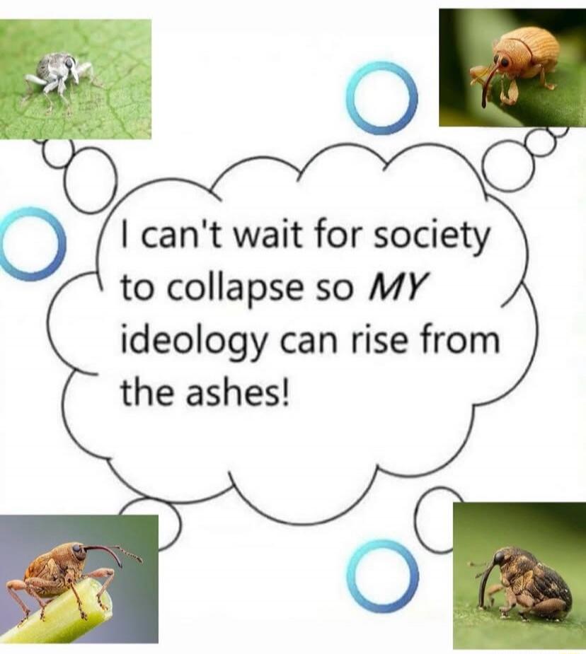 I can't wait for society to collapse so MY ideology can rise from the ashes!