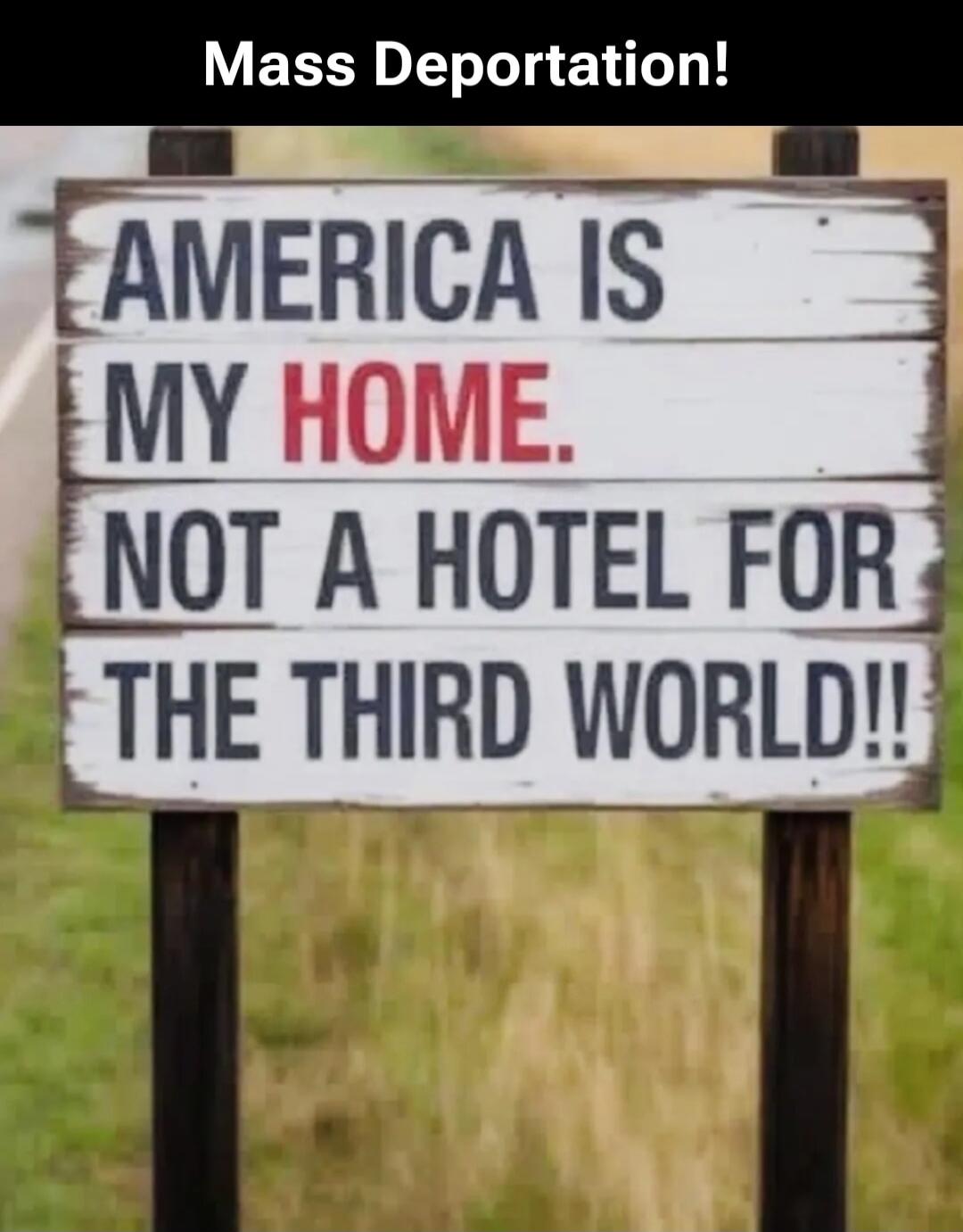 Mass Deportation! AMERICA IS MY HOME. NOT A HOTEL FOR THE THIRD WORLD!!